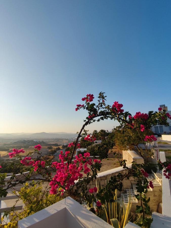Agnanti Hotel Adamantas  Exterior photo